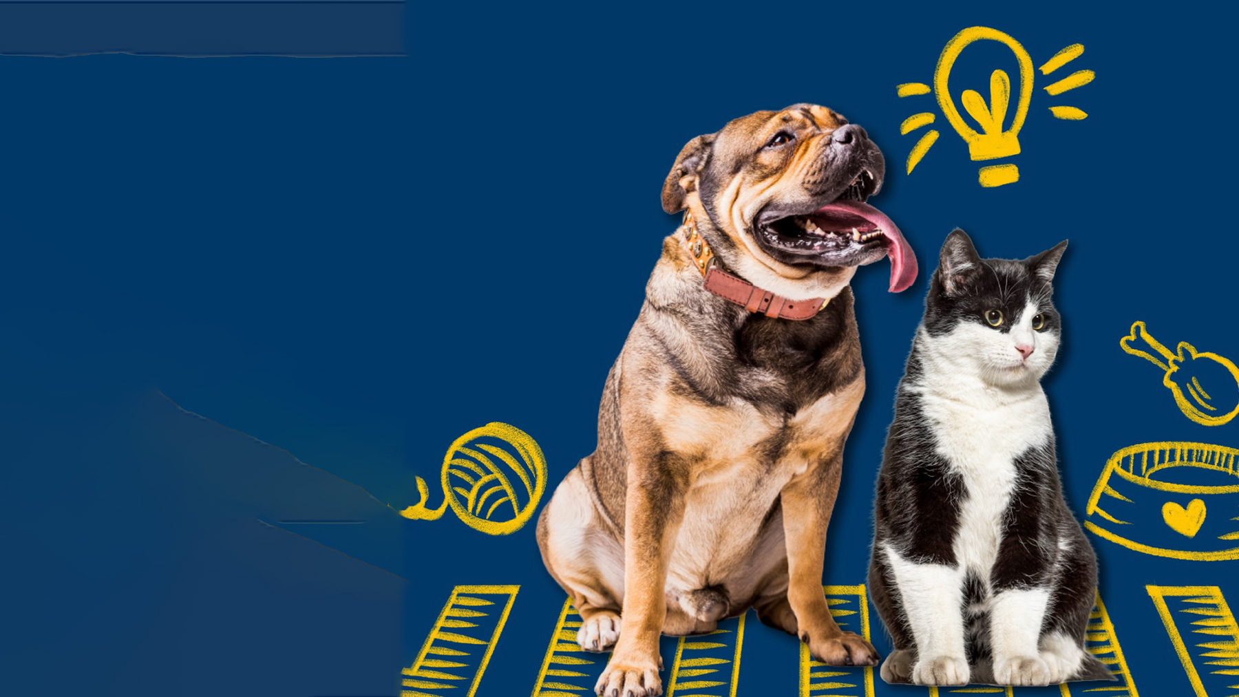 Gabrica | Guía de obesidad en adultos