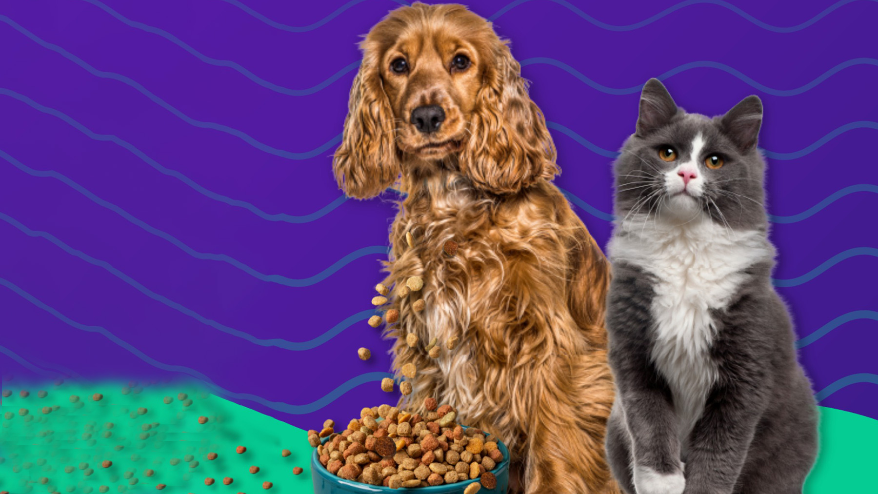 Gabrica | Inapetencia en adultos mayores