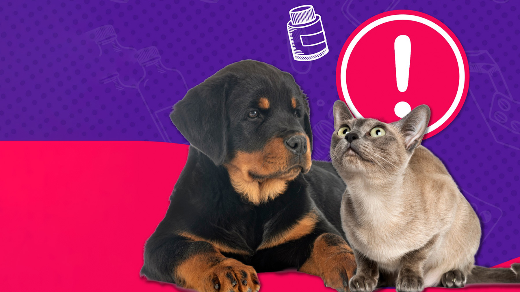 Gabrica | Medicamentos prohibidos