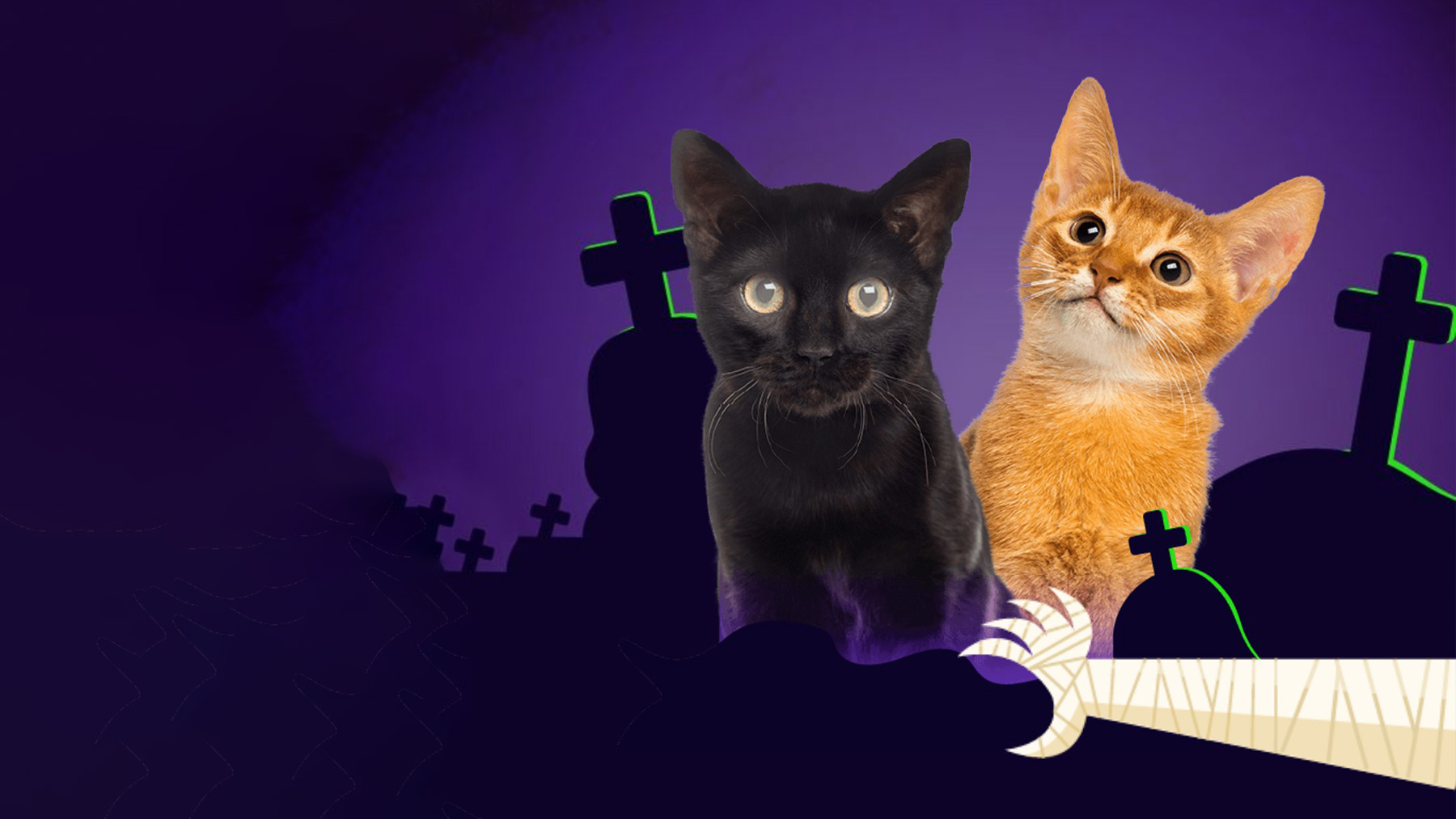 Gabrica | Mitos y verdades Gatos negros vs. Gatos naranjas