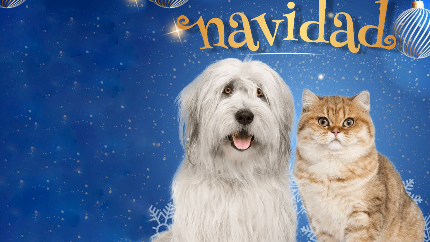Gabrica | Navidad como un PetLover