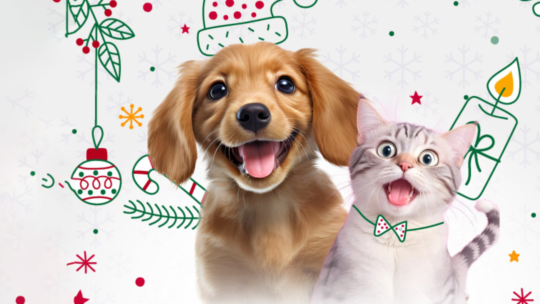 Gabrica | Primera Navidad de tu mascota