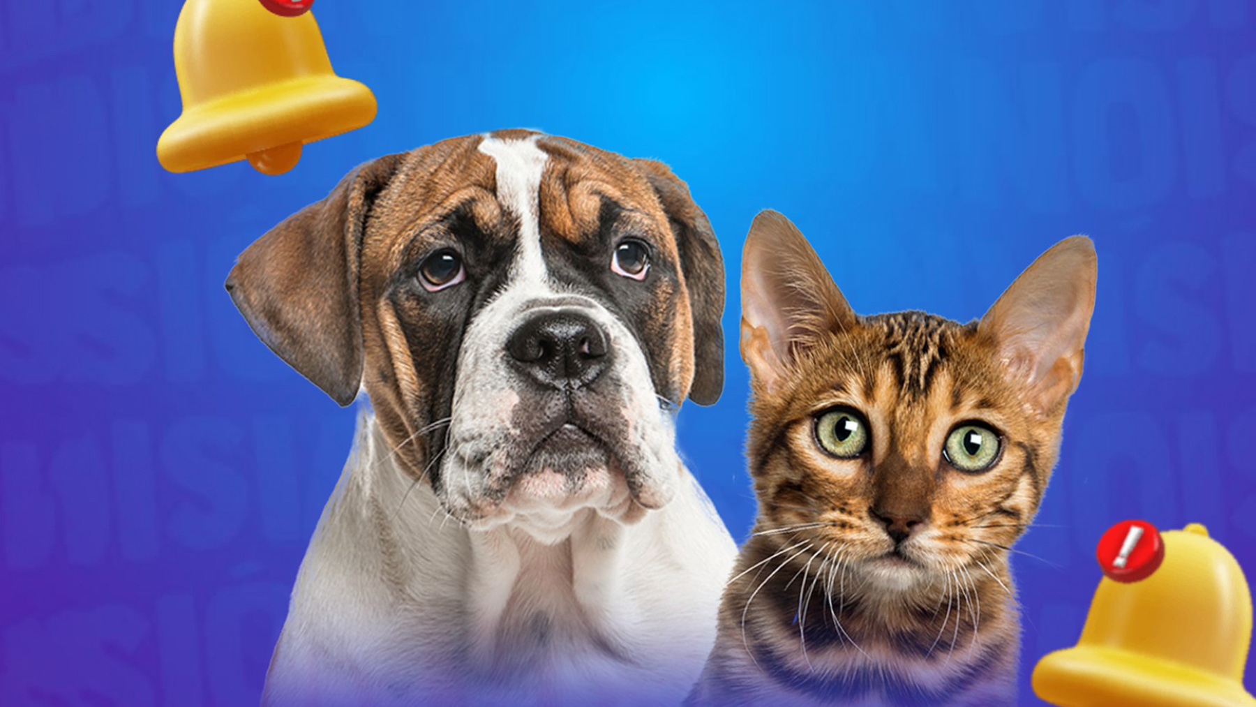 Gabrica | Problemas Oculares