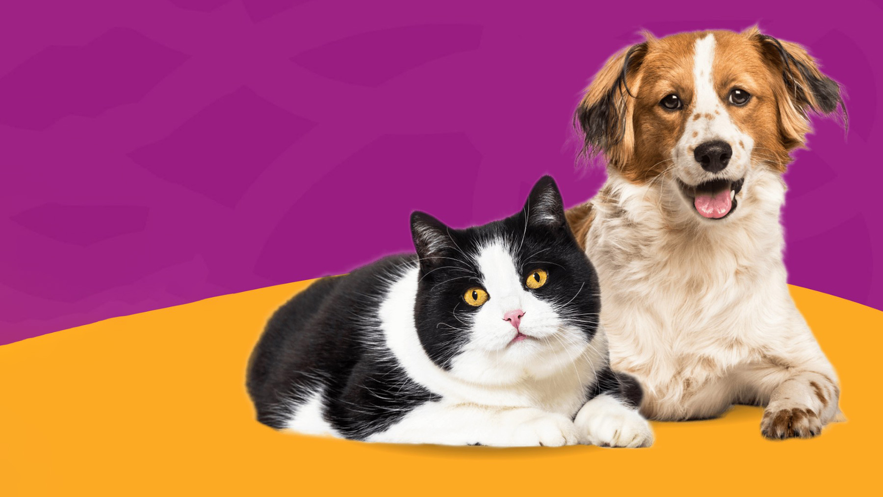 Gabrica | Problemas renales en adultos mayores