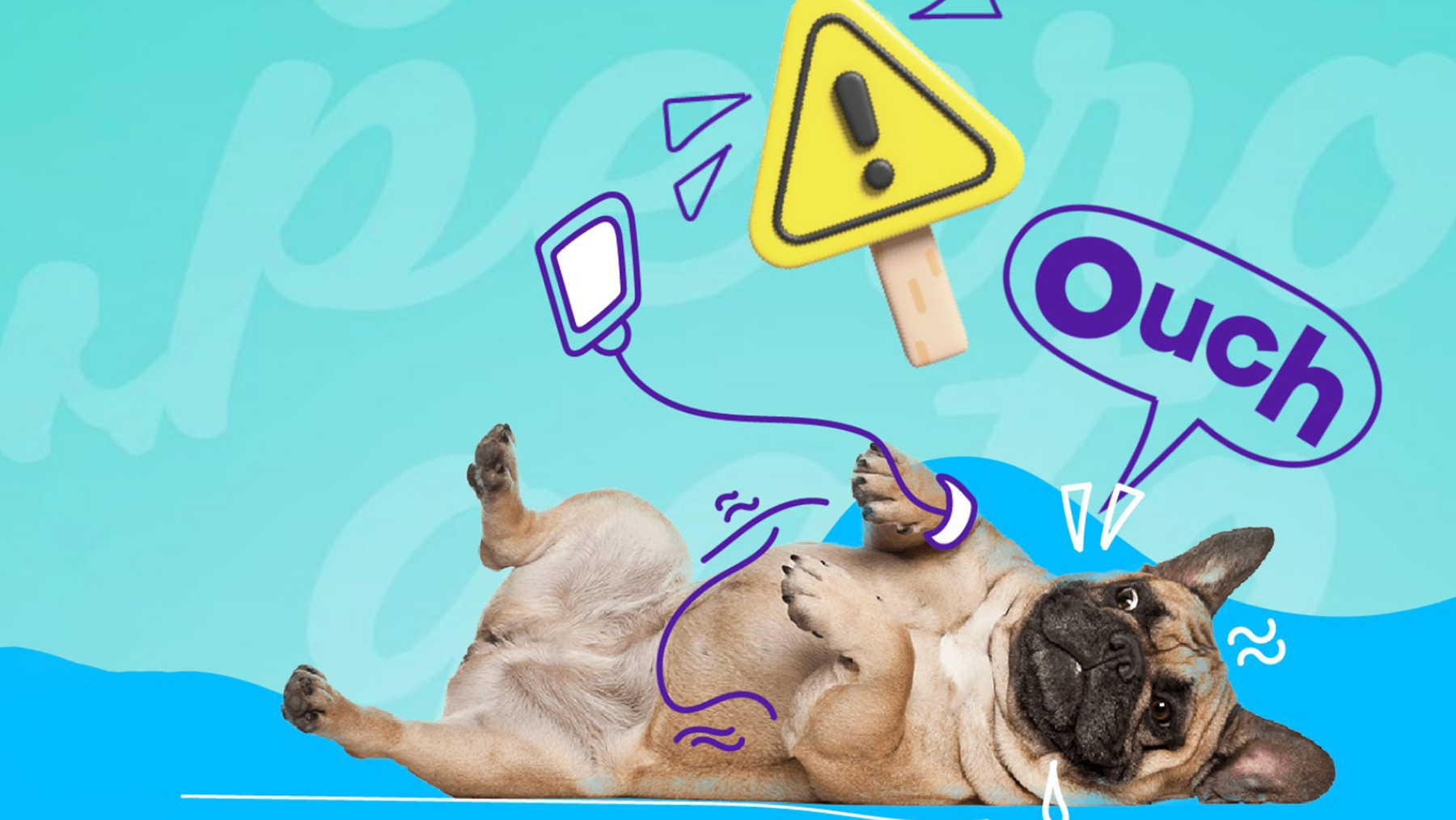 Gabrica | ¿Qué hacer si mi mascota come algo indebido?