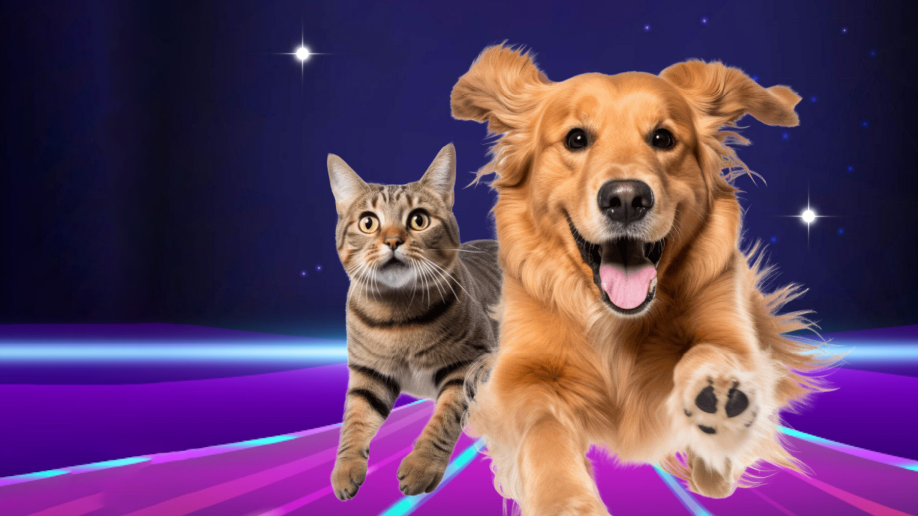 Gabrica | ¿Qué mascota fuiste en tu vida pasada?