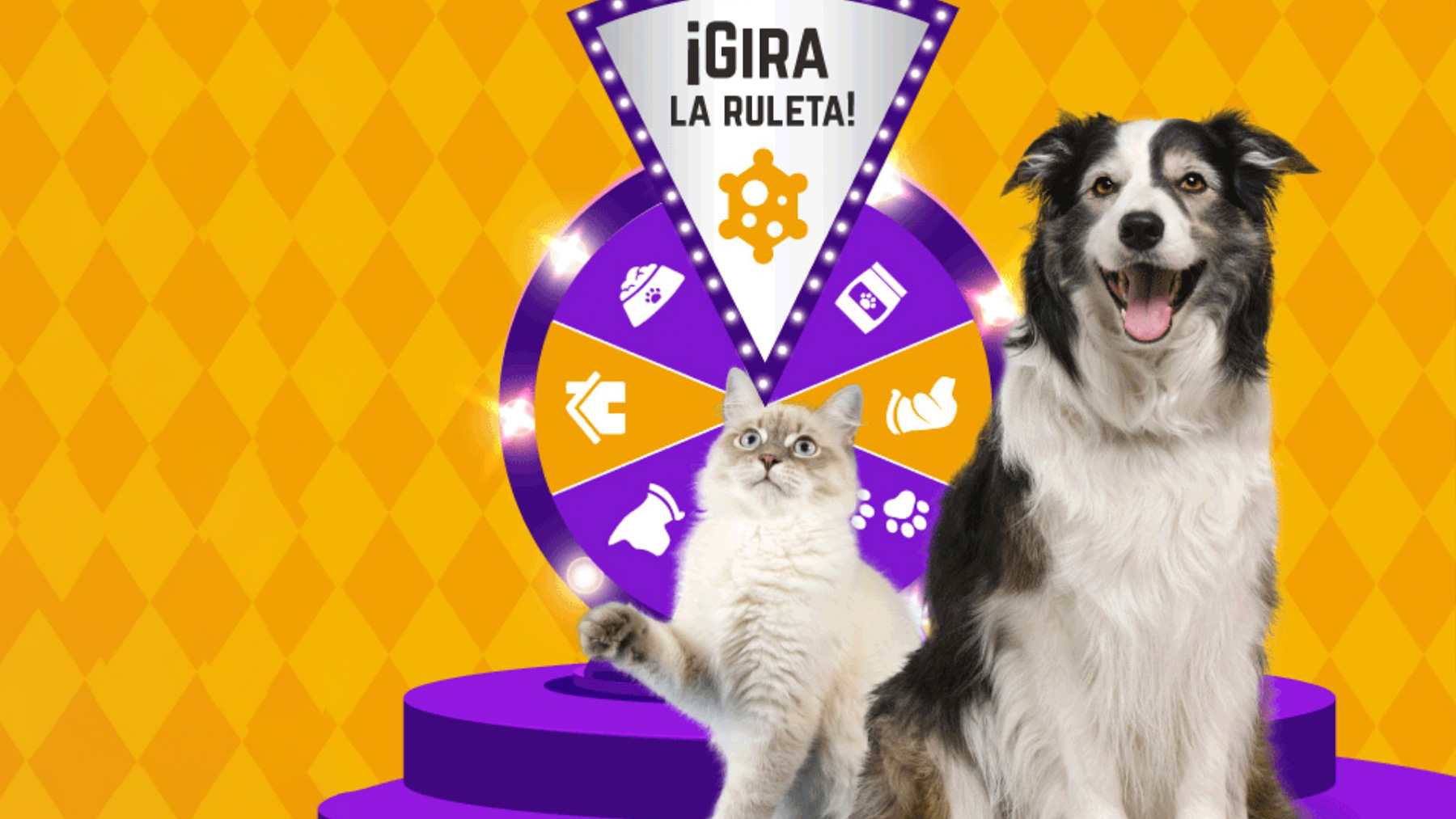 Gabrica | ¿Qué tan experto eres en mascotas?