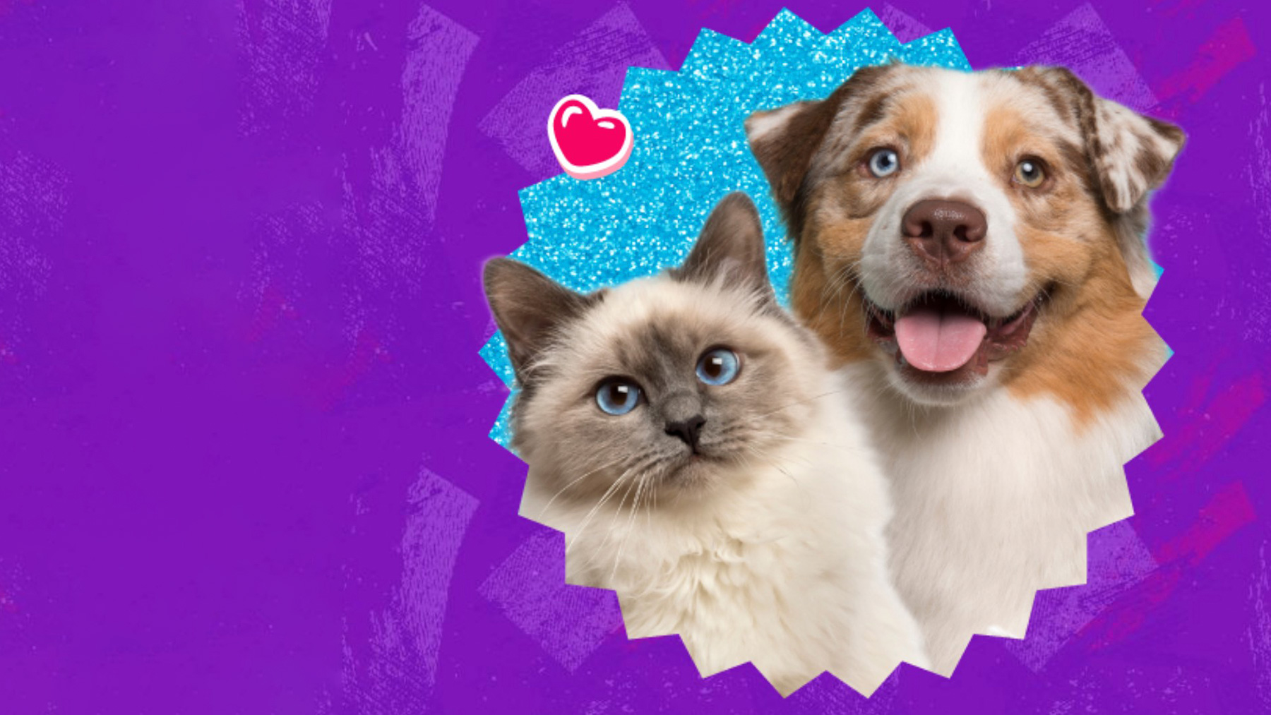 Gabrica | ¿Qué tipo de cuidador eres? quiz