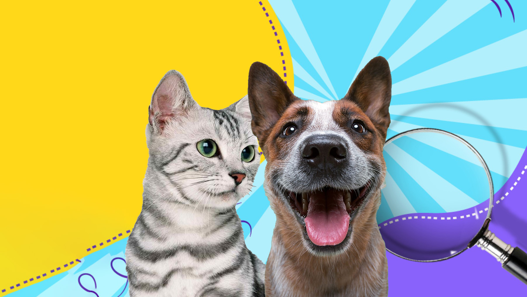 Gabrica | Quiz Adivina la raza