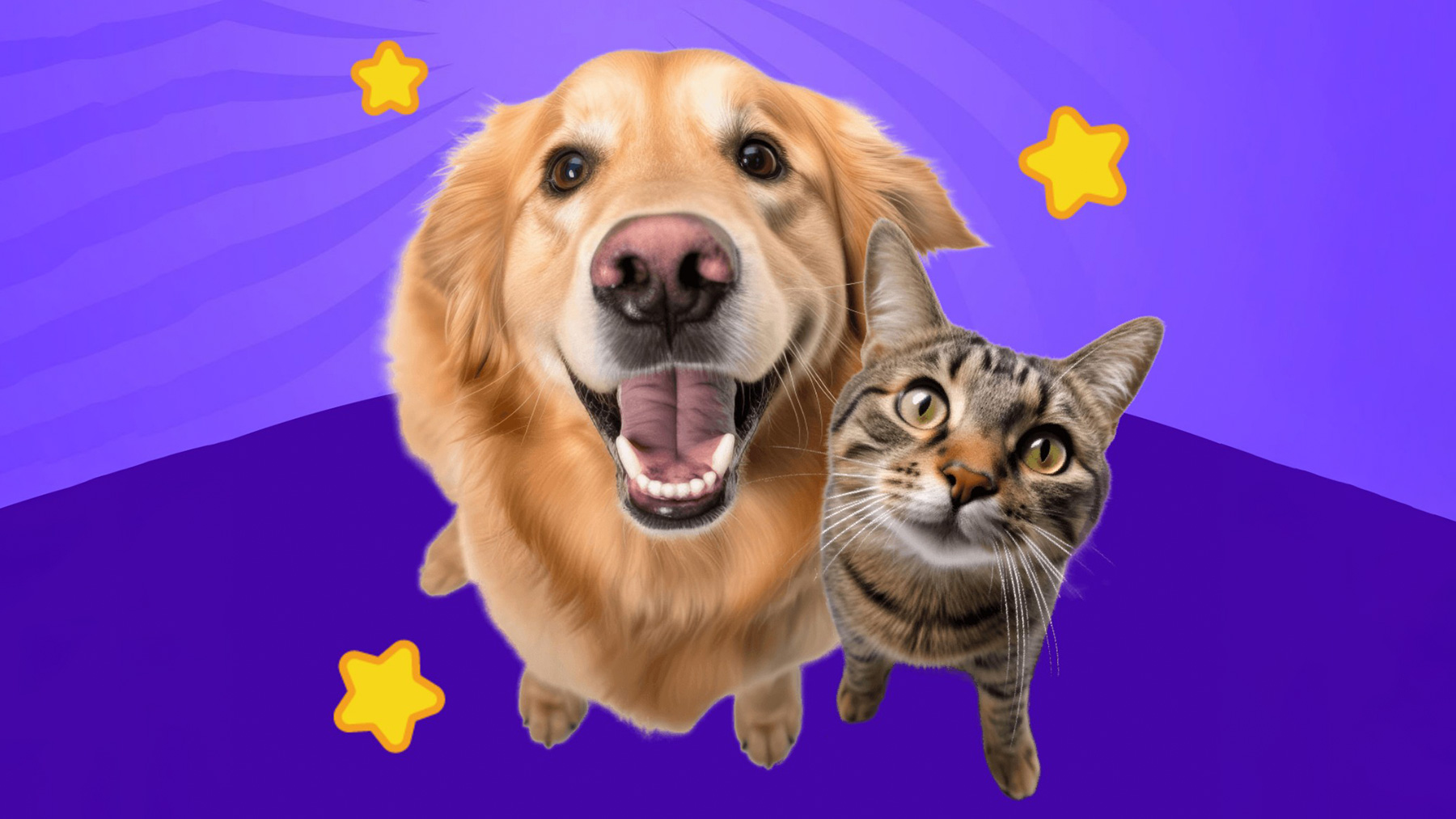 Gabrica | Quiz experto en refranes