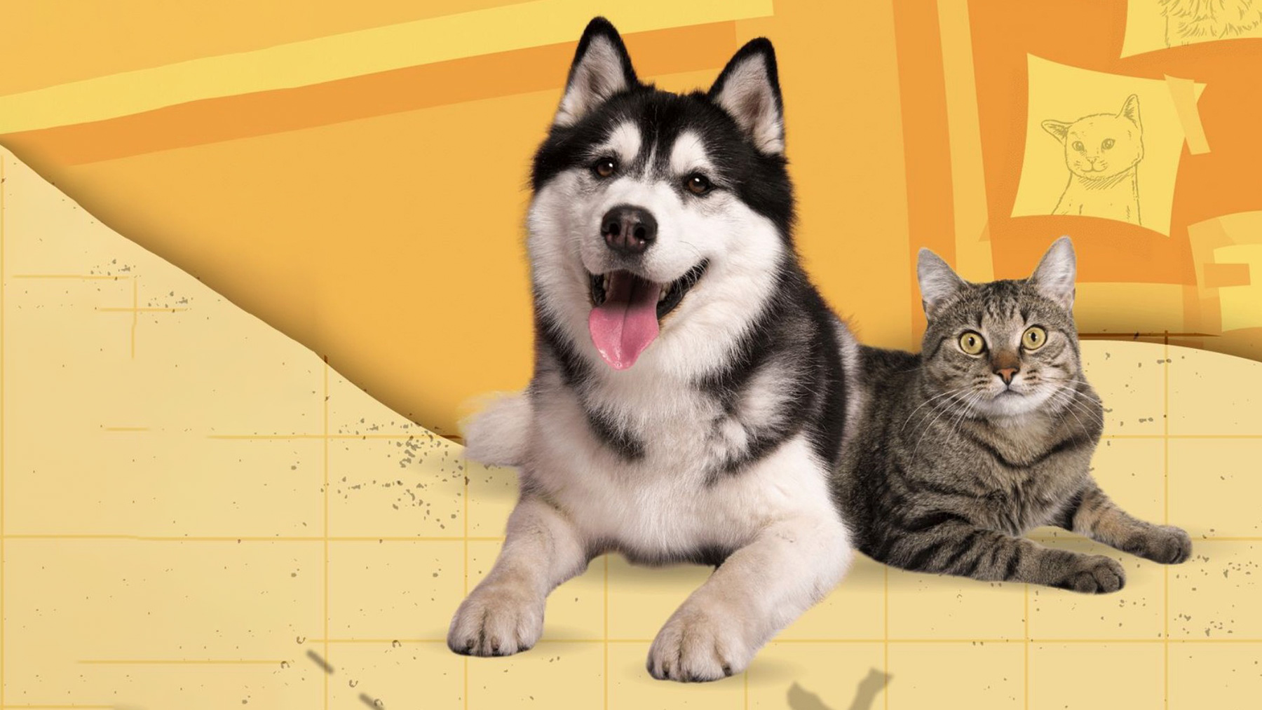 Gabrica | Quiz mascotas de la historia