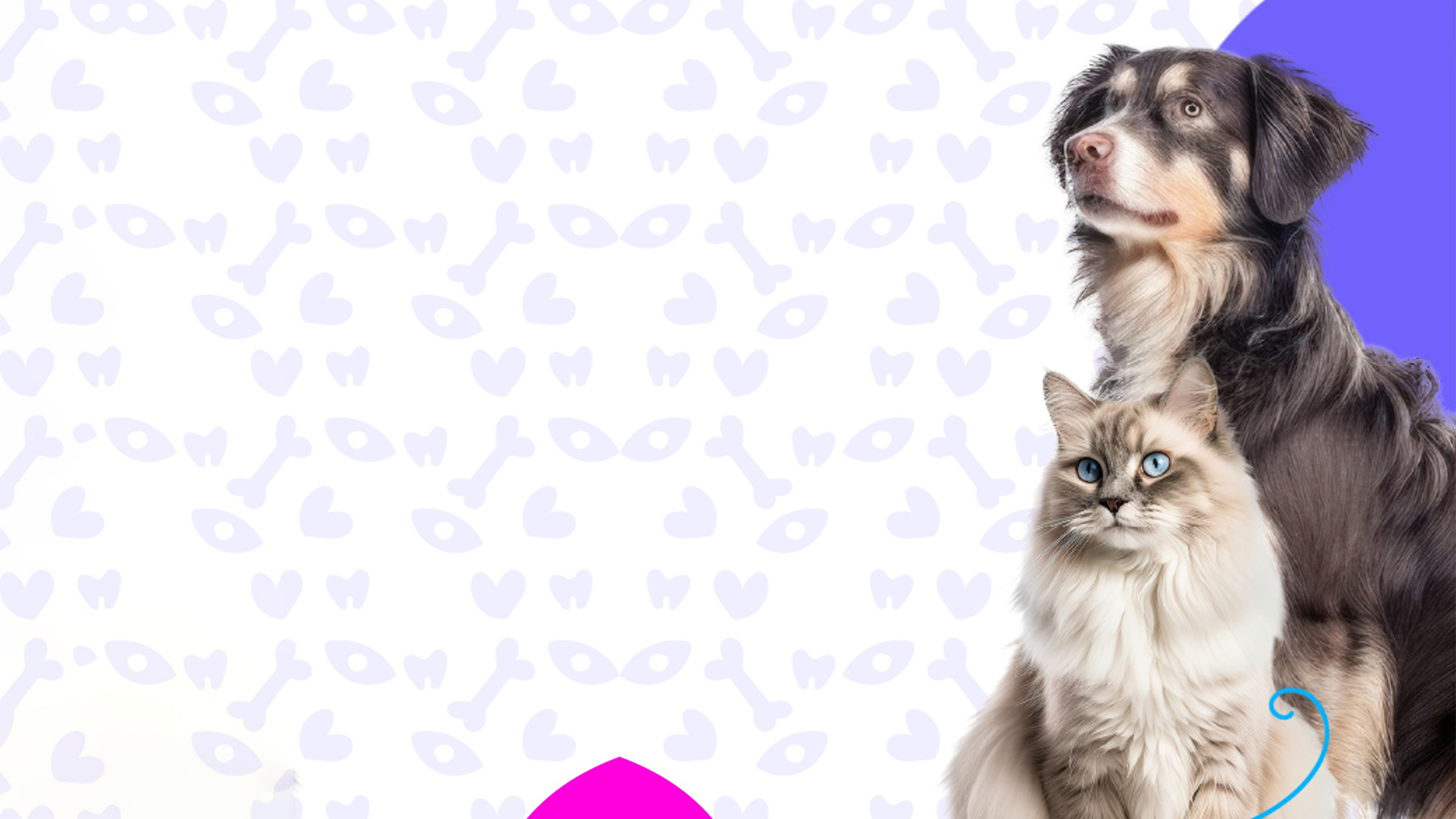 Gabrica | Top 5 enfermedades comunes en seniors