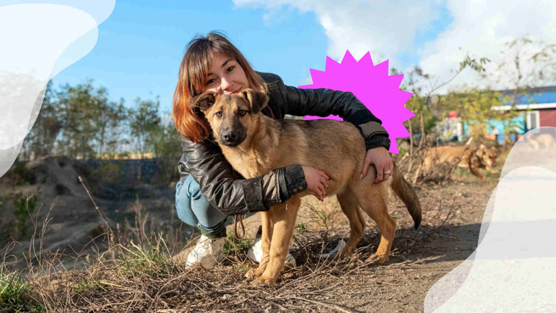 Gabrica | Adoptar un perro: cómo hacerlo, beneficios y consejos claves