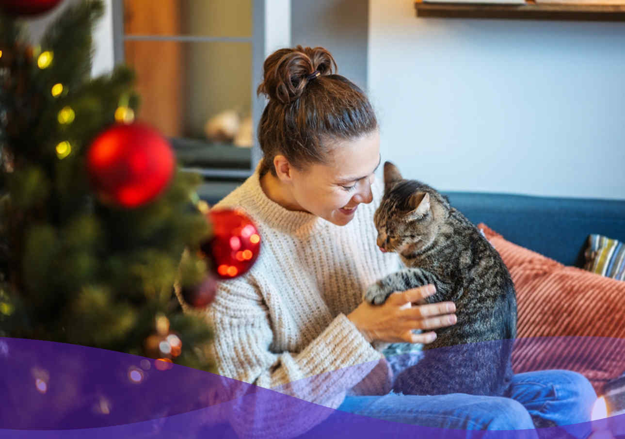 Gabrica | Cómo puedo evitar que mi gato dañe el árbol de Navidad