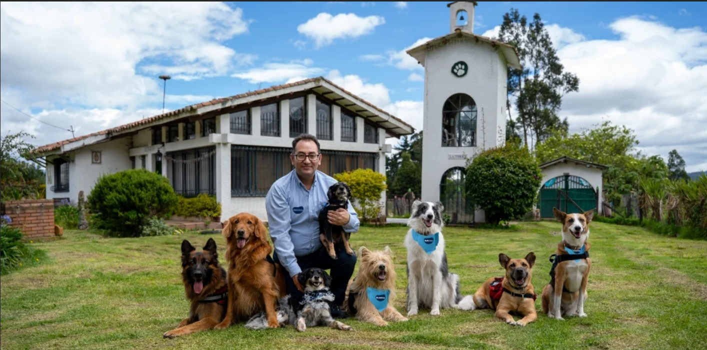 Gabrica | Estrés y depresión en perros