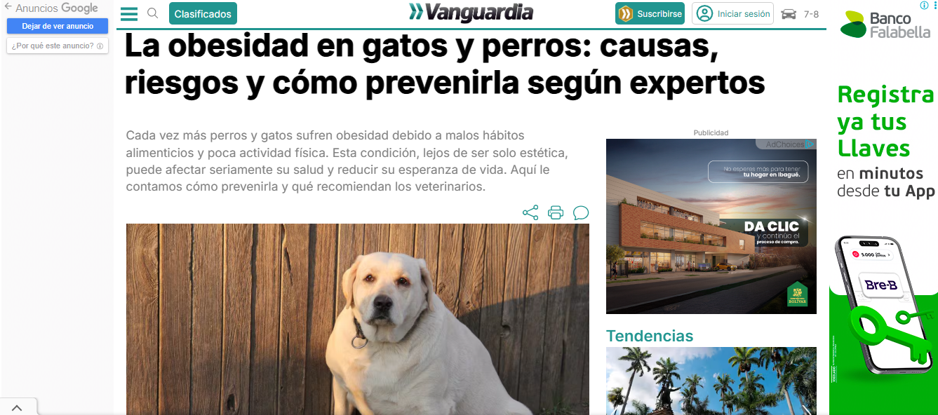 Gabrica | La obesidad en gatos y perros: causas, riesgos y cómo prevenirla según expertos