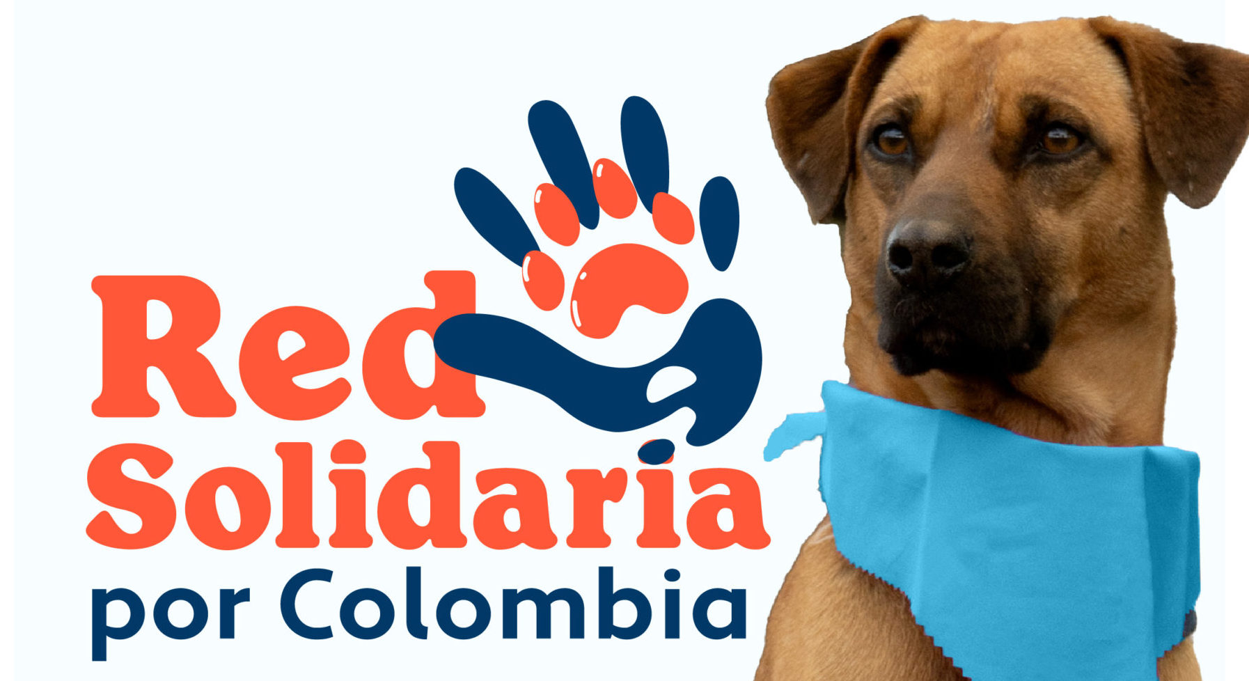 Gabrica | Red Solidaria por Santa Marta: unidos por los animales y las comunidades de Taganga
