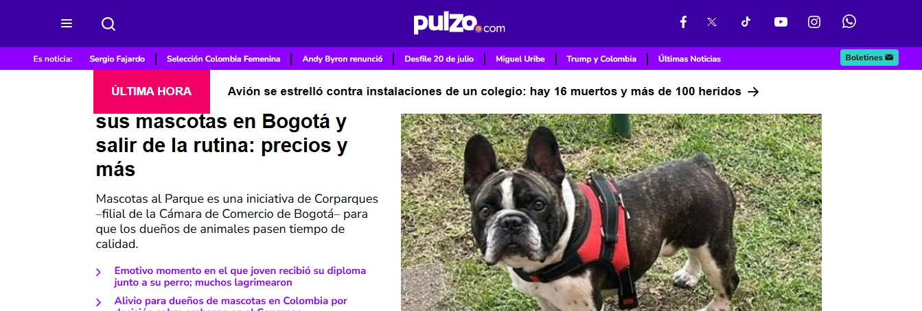Gabrica | Plan diferente para hacer con sus mascotas en Bogotá y salir de la rutina: precios y más