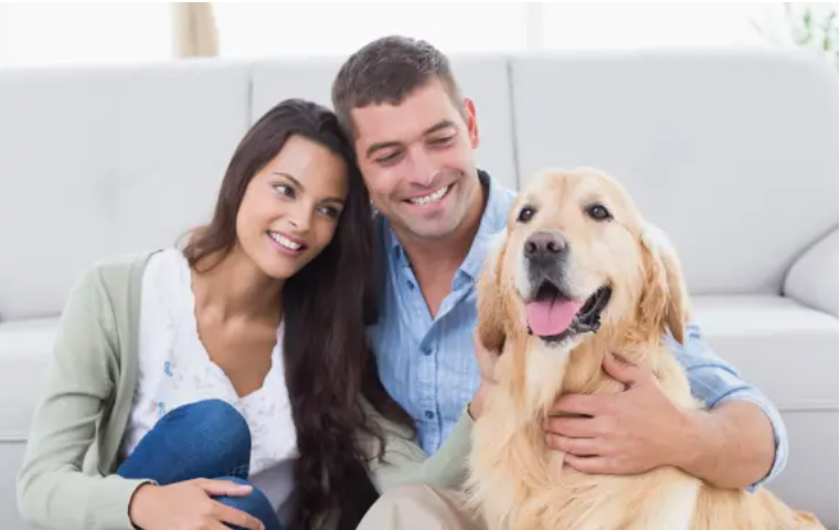 Gabrica | Las mascotas necesitan más que techo y comida