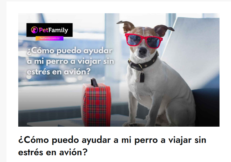 Gabrica | ¿Cómo puedo ayudar a mi perro a viajar sin estrés en avión?