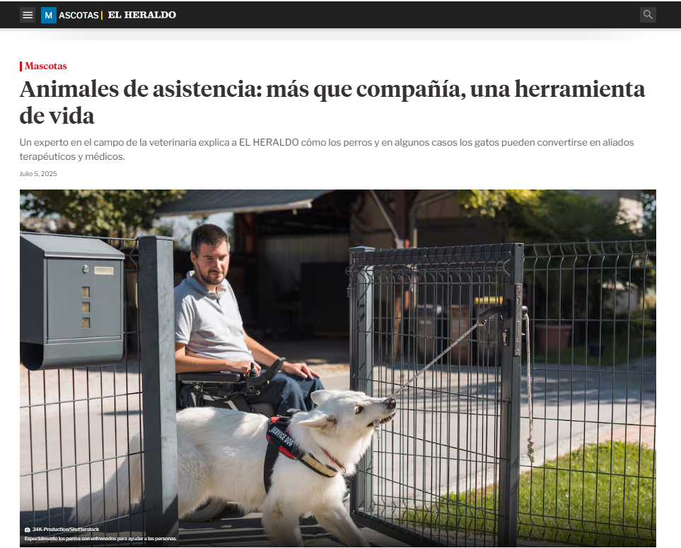 Gabrica | Animales de asistencia: más que compañía, una herramienta de vida