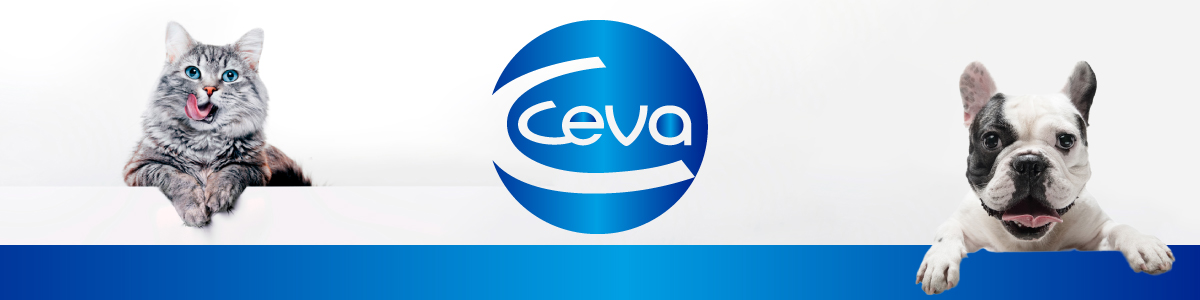 Ceva