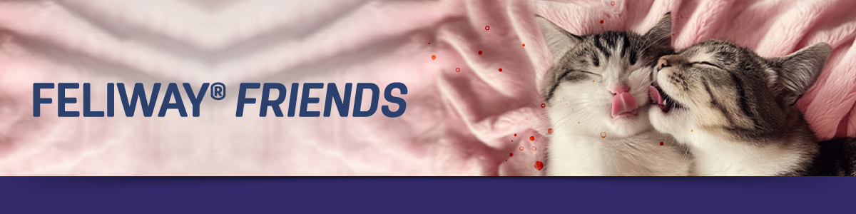 Feliway Friends