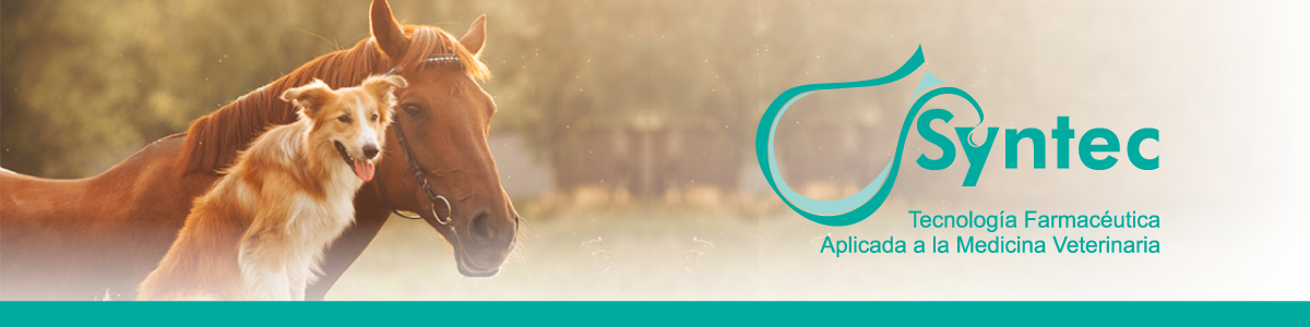 Syntec
