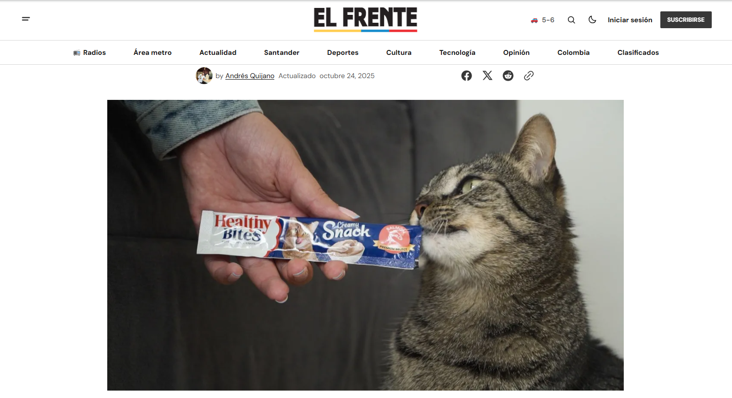 Gabrica | Cuidado con los dulces: intoxicaciones en mascotas aumentan en Halloween