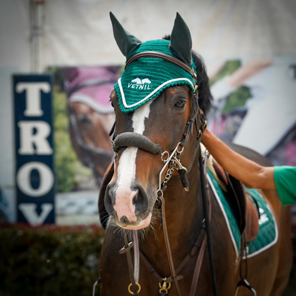 Gabrica | 40% de los caballos de exposición sufren deshidratación severa