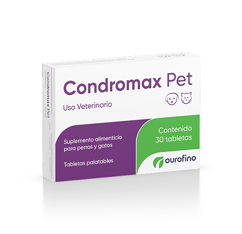 Condromax