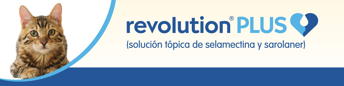 Revolution Plus