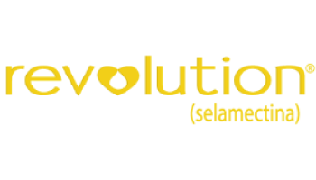 Gabrica | Revolution