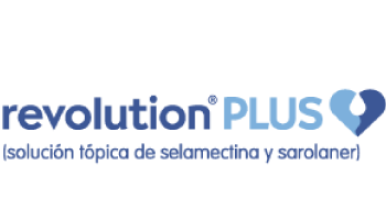 Gabrica | Revolution Plus