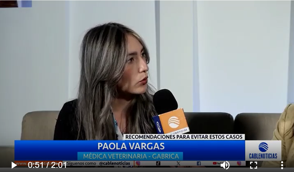 Gabrica | Cuidado: el consumo de dulces puede poner en peligro la vida de tu mascota